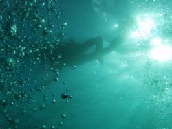 The Abyss. Taken from 9 metres down of my buddy just belo... by Dieter Stegemann 
